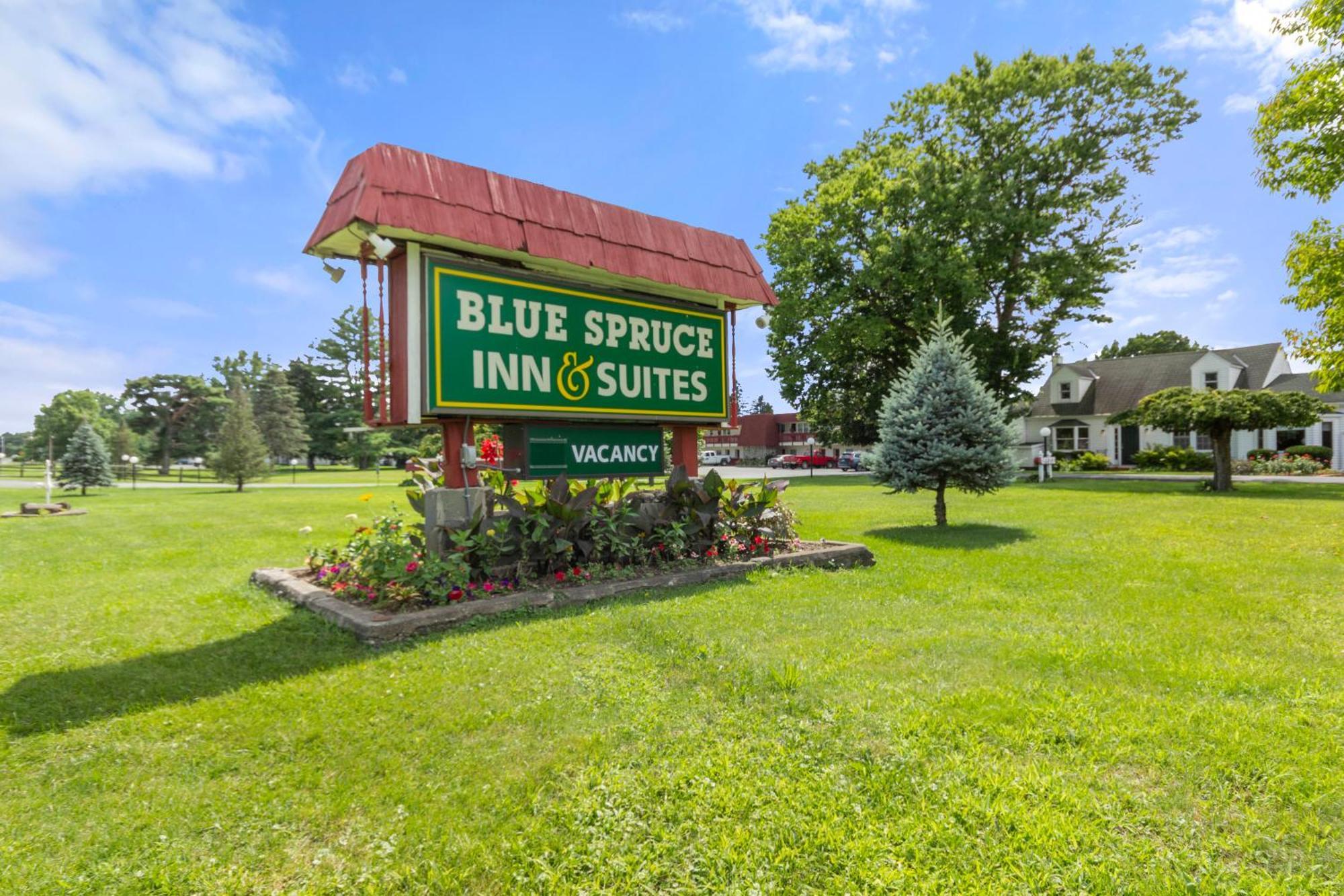 Blue Spruce Inn & Suites Valatie Kültér fotó