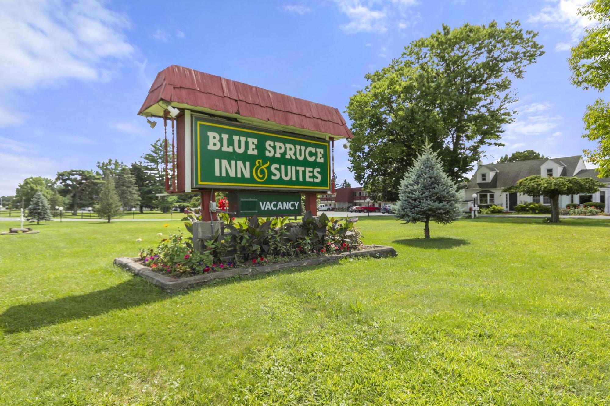 Blue Spruce Inn & Suites Valatie Kültér fotó