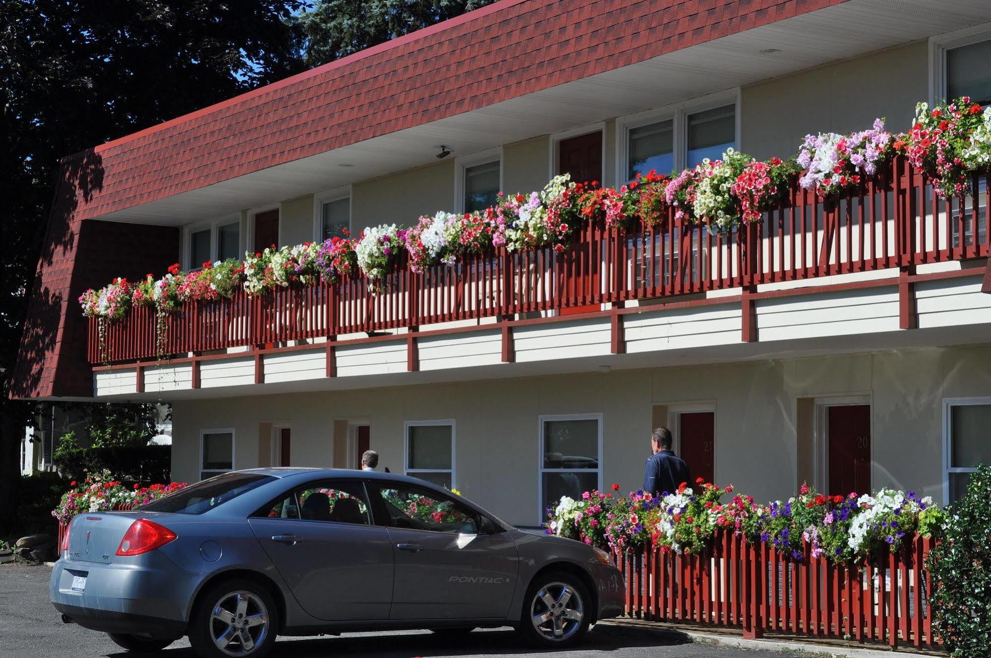 Blue Spruce Inn & Suites Valatie Kültér fotó